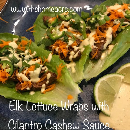 Elk Lettuce Wraps